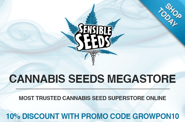 Buy Cannabis Seeds Stealth Discreet