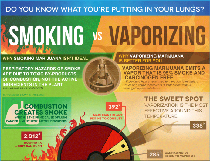 Joints Vs. Bongs Vs. Vaporizers – Latest Marijuana Debate | THC 420