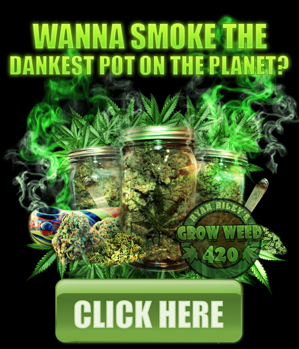 Grow Dank Buds Sticky Marijuana